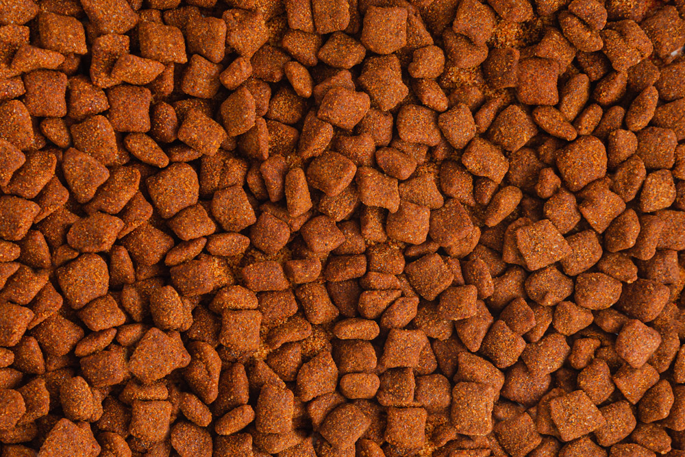 CHARAGOLO-SAL-DE-GUSANO_CHARAMUSCA-GRANEL-2023-60 Charagolo con Sal de Gusano - Image 1